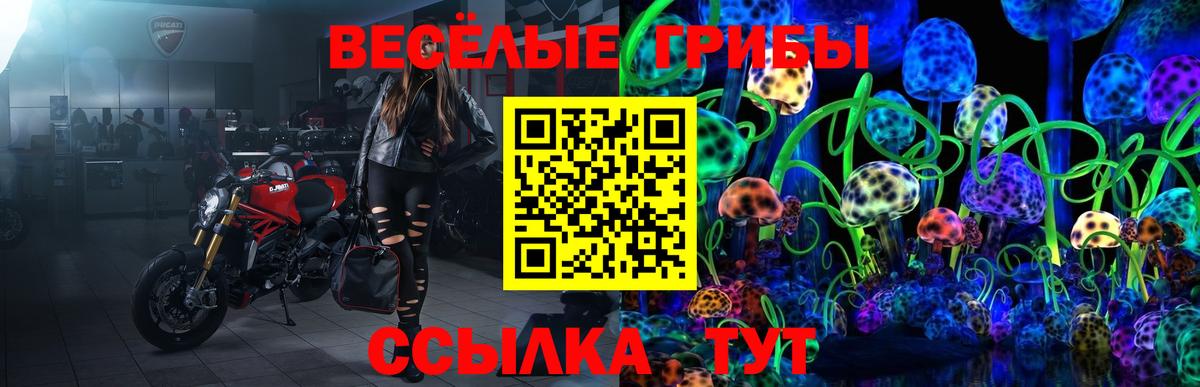 Псилоцибиновые грибы Magic Shrooms  Вход с VPN  Анжеро-Судженск 